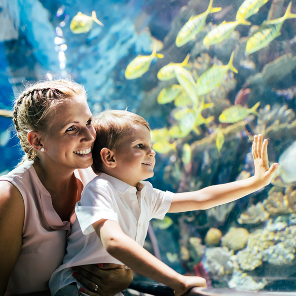 Fascinated mother and son watching sea life in aquarium