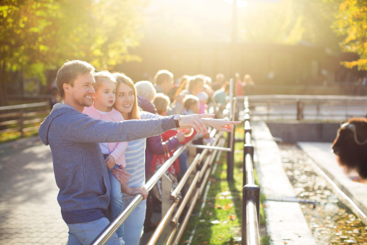 Family at zoo - attraction software