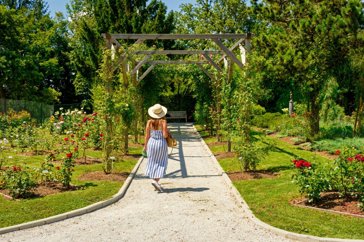 Summer Garden